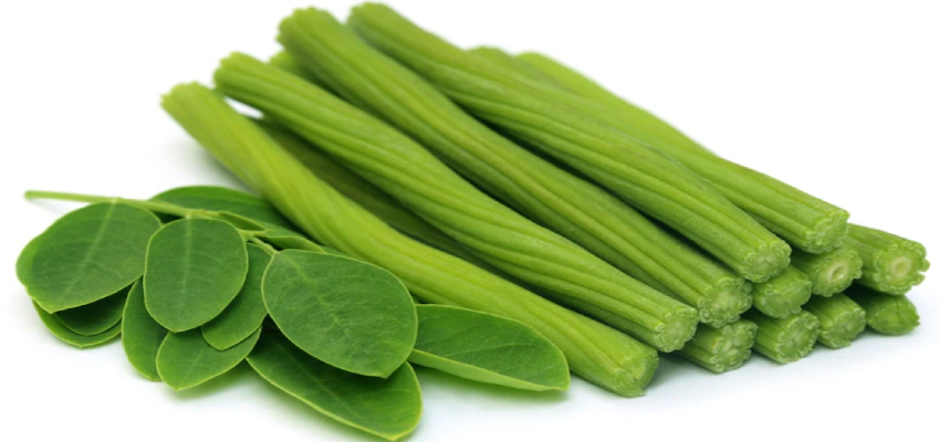 मोरिंगा को इस तरह करें डाइट में शामिल, दूर होगी सारी हेल्थ प्रॉब्लम्स