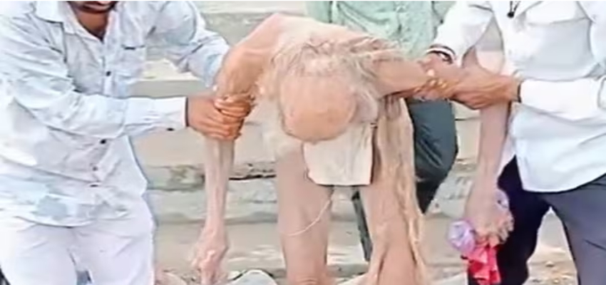 क्या सच में बेंगलुरु के गुफा से मिला 188 साल का बूढ़े व्यक्ति? जानें इस दावे की सच्चाई