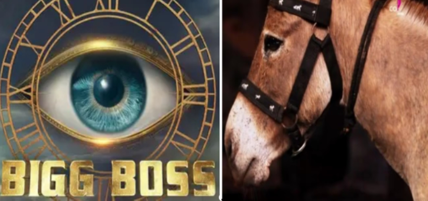 Bigg Boss 18: बिग बॉस के अंगने में ‘गधे’ का क्या काम है! क्या कंटेस्टेंट्स के साथ होगी जानवरों की एंट्री?