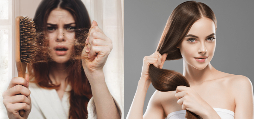 Hair Care: हेयर फॉल से हैं परेशान, इन फूड्स को खाने से दोगुनी तेजी से बढ़ेंगी बालों की ग्रोथ