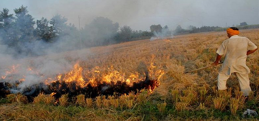 हरियाणा में पराली जलाने के आरोप में 14 किसानों की गिरफ्तारी, कई जिलों में कार्रवाई जारी