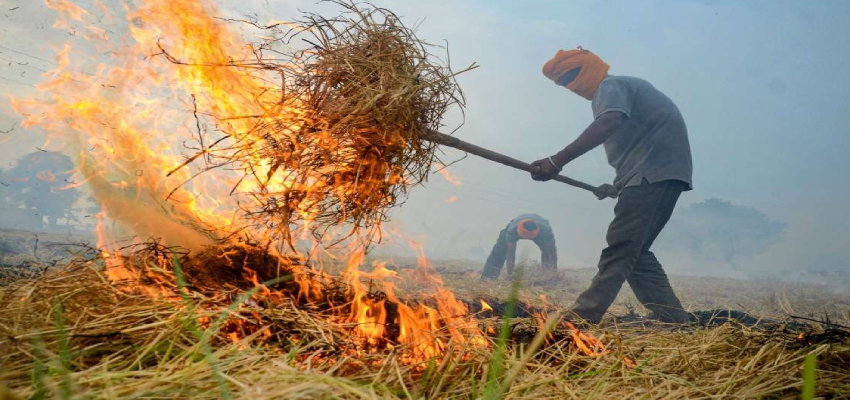 प्रदूषण के खिलाफ एक्शन में हरियाणा सरकार, 24 अफसरों पर गिरी गाज...18 किसान गिरफ्तार
