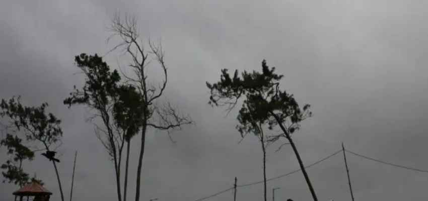 Cyclone Dana: साइक्लोन 'दाना' का भयावह नजारा, भुवनेश्वर और कोलकाता एयरपोर्ट बंद; 10 लाख लोगों को हटाया गया