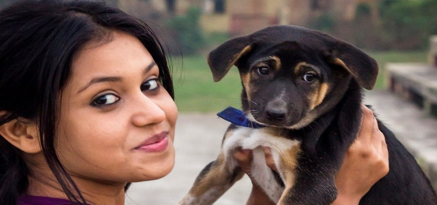 Diwali Celebration: दिवाली पर पेट्स कहीं किरकिरा न कर दें दिवाली का जश्न, ऐसे रखें पालतु जानवरों का ख्याल