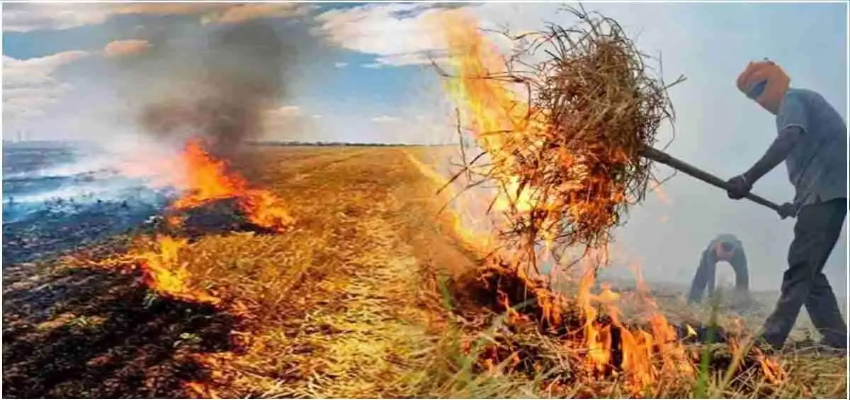 पराली जलाने वालों पर हरियाणा सरकार की कड़ी कार्रवाई,  बड़े-बड़े अधिकारी भी नप गए