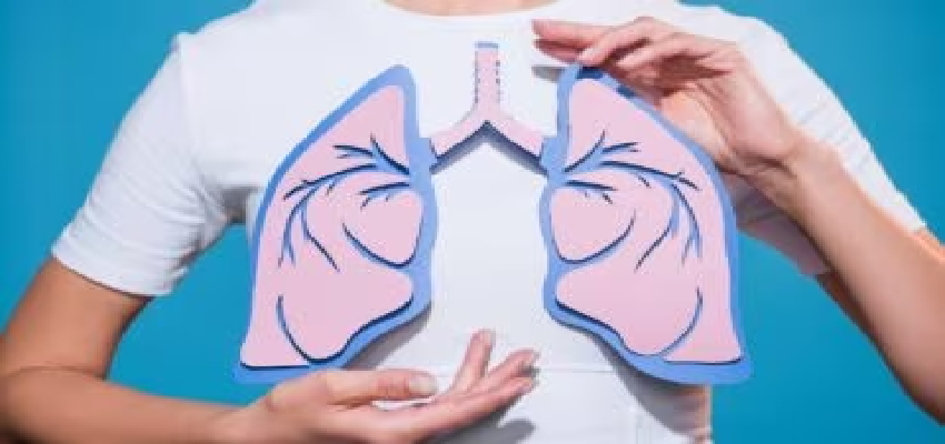Lungs Health: प्रदूषण से बचने के लिए 5 बेहतरीन तरीके, फेफड़ों पर गंदी हवा का प्रभाव होगा कम मिलेगी राहत