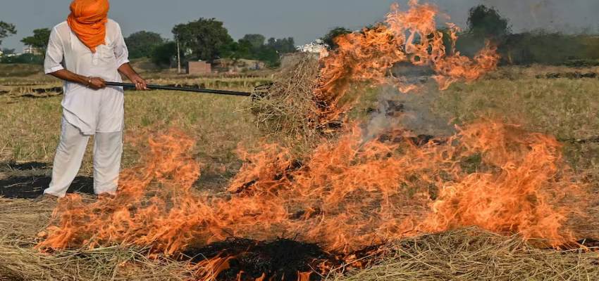 अब पराली जलाने पर लगेगा 30 हजार तक का जुर्माना, सुप्रीम कोर्ट की फटकार के बाद केंद्र ने बढ़ाई जुर्माने की राशि
