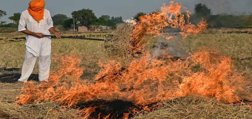 नहीं थम रहा पराली जलाने का सिलसिला, पंजाब में अब तक 6600 मामले दर्ज