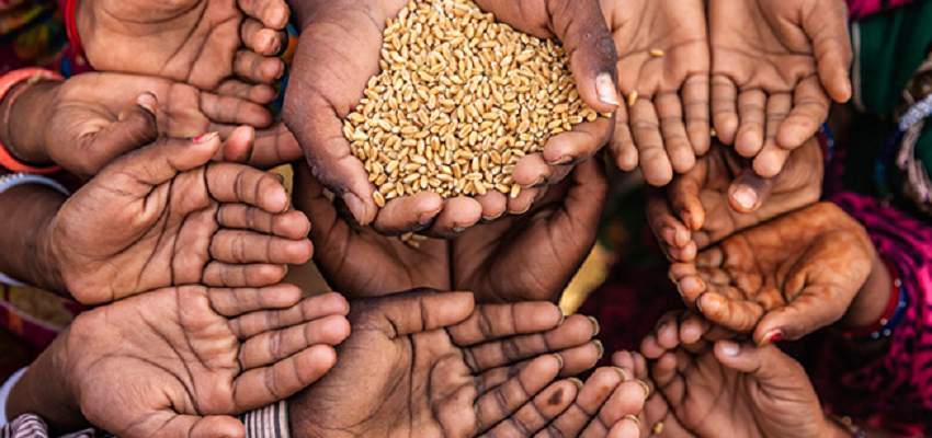 केंद्र सरकार ने ग्लोबल हंगर रिपोर्ट को किया खारिज, कहा- ये भारत की असली स्थिति नहीं दर्शाती