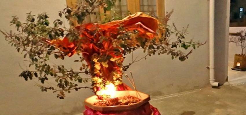 मार्गशीर्ष अमावस्या में तुलसी का है बड़ा महत्व, इन चीजों को चढ़ाने से दूर होगी गरीबी