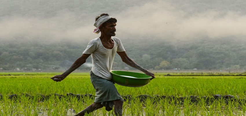 नए साल पर सरकार ने किसानों को दिया बड़ा तोहफा, अब बिना कुछ गिरवी रखे ले सकेंगे 2 लाख रुपये का लोन