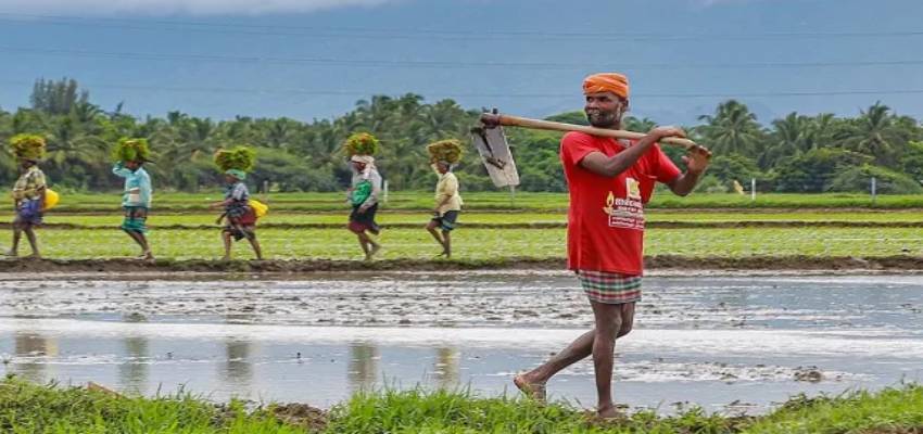 National Farmers Day: क्यों 23 दिसंबर को ही क्यों मनाया जाता है राष्ट्रीय किसान दिवस? इस नेता को क्यों किया जाता है याद