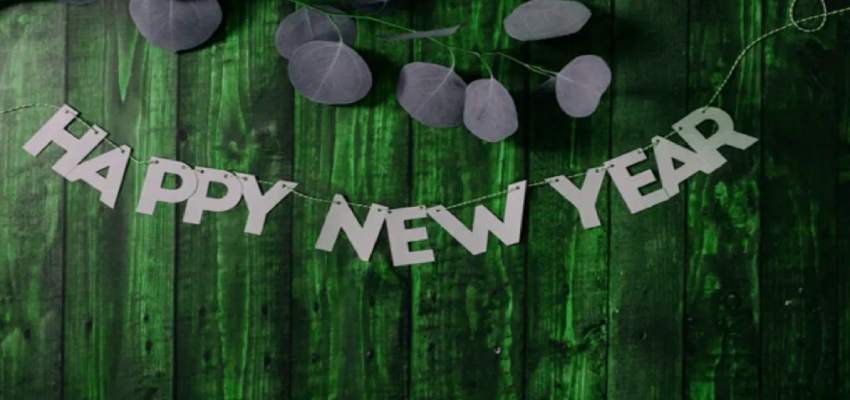 New Year 2025: नए साल पर बनाना है चटपटा नाश्ता, ये पांच पकवान जरूर करें ट्राई