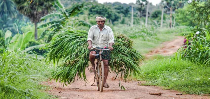 केंद्र सरकार ने नए साल पर किसानों को दिया तोहफा, DAP खाद पर बढ़ाई सब्सिडी