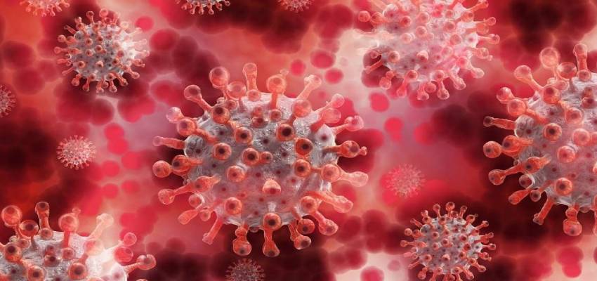 HMPV वायरस के साथ चीन में मंडरा रहा इन बीमारियों का खतरा, अलर्ट मोड पर भारत