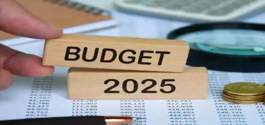 Budget 2025 में इनकम टैक्स पर मिलेगी कितनी छूट? ICRA की रिपोर्ट में हुआ खुलासा