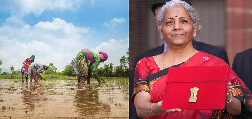 Budget 2025: क्या किसान सम्मान निधि में होगी वृद्धि? जानिए इस बार के बजट में किसानों के लिए क्या है खास