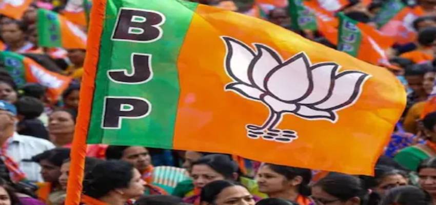 27 साल बाद दिल्ली में खिला 'कमल', अब फ्री बिजली-पानी का क्या होगा?