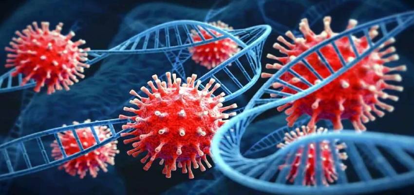 इंसानों में भी फैलने की ताकत रखता है चीन का नया बैट कोरोना वायरस, जानें क्या है HKU5-CoV-2?