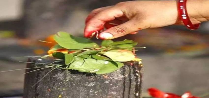 Mahashivratri 2025: शिवलिंग पर बेलपत्र चढ़ाते समय न करें ये गलतियां, पूजा करने से पहले जान लें सही नियम