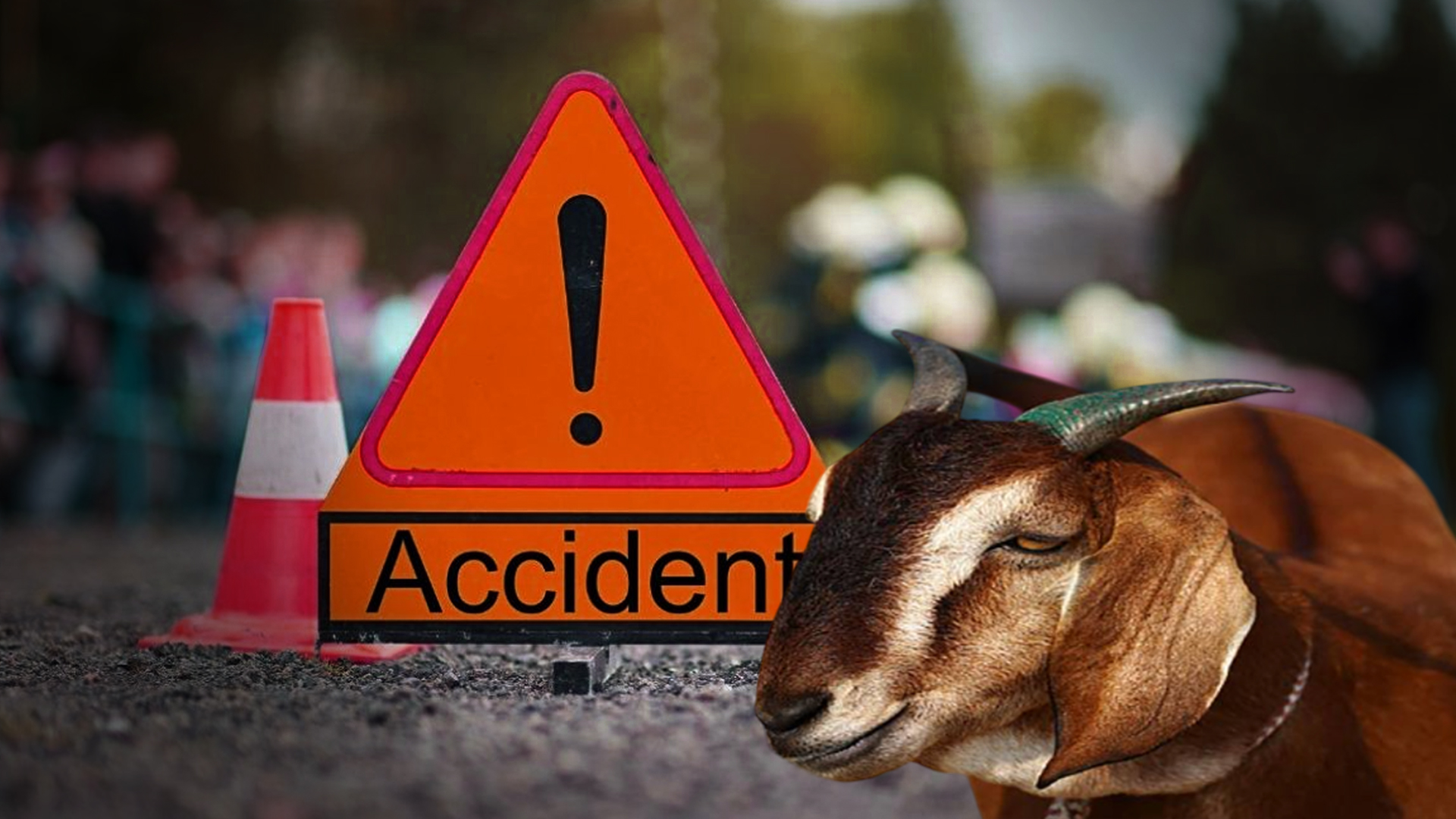 बलि देने जा रहे परिवार की कार नदी में गिरी, 4 लोग की मौत लेकिन बकरे की बच गई जान