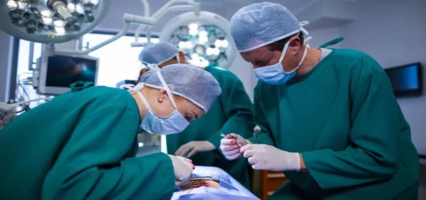 130 दिनों तक सुअर की किडनी लगाकर जिंदा रही महिला, ऐसा कर रच दिया अनोखा इतिहास