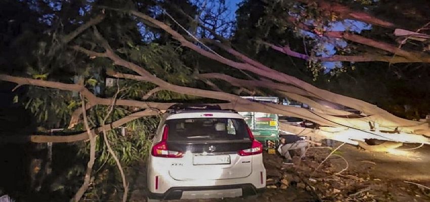 दिल्ली में मौत की बारिश!  एक घर पर पेड़ गिरने से चार लोगों की मौत, 1 घायल