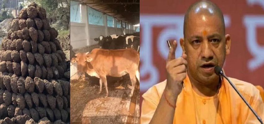 गोबर से बने पेंट का हो सरकारी इमारतों में उपयोग, CM योगी ने दिए अफसरों को सख्त निर्देश