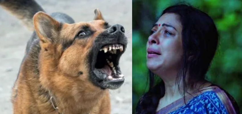 अनुपमा को सेट पर आवारा कुत्ते ने काटा? रुपाली गांगुली ने उठाया अफवाहों से पर्दा