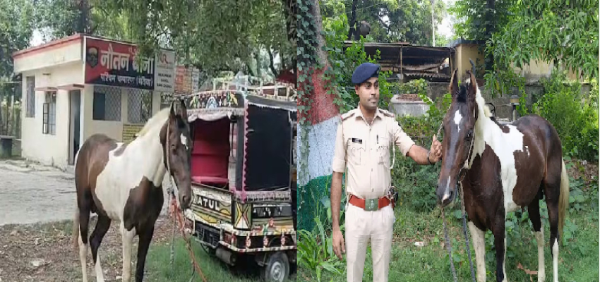 Bihar: शराब तस्कर निकला घोड़ा! पुलिस गिरफ्तार करके ले आई थाने