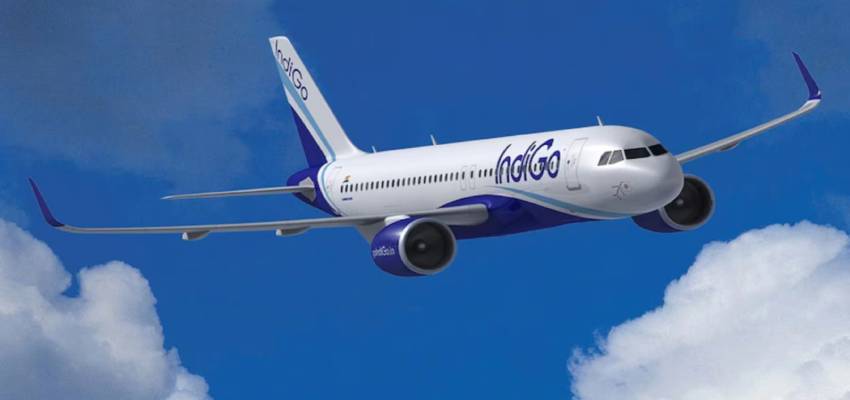 रांची जाते समय इंडिगो प्लेन से टकराया पक्षी, पायलट ने सूझबूझ से करवाई इमरजेंसी लैंडिंग