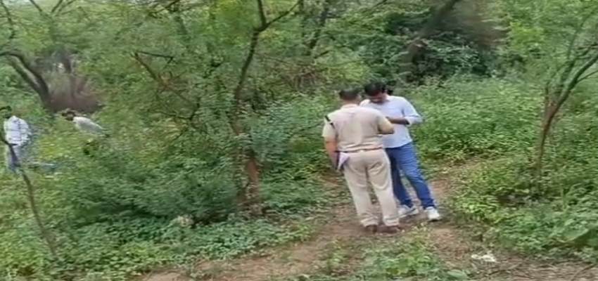 फरीदाबाद के जंगल में पेड़ से लटका मिला अज्ञात व्यक्ति का शव, पुलिस जांच में जुटी