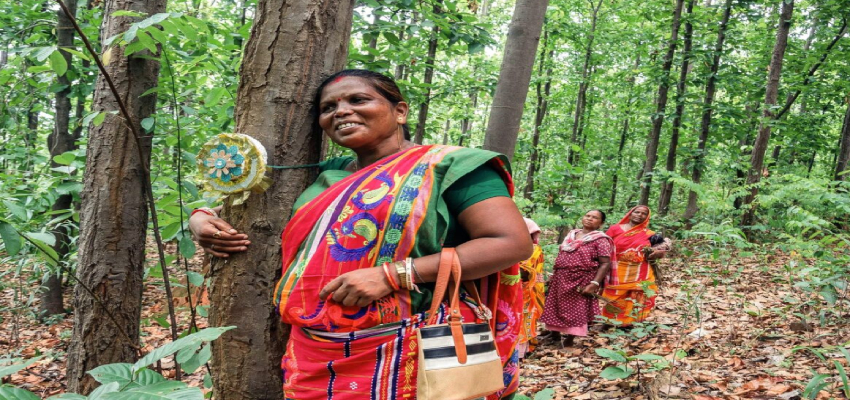 कौन हैं जंगल की हिफाजत करने वाली 'लेडी टार्जन'? जिन्हें राष्ट्रपति भवन से मिला डिनर का न्यौता