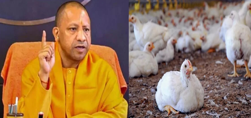 बर्ड फ्लू से निपटने के लिए UP में अलर्ट, CM योगी ने चिड़ियाघर और पोल्ट्री फार्म्स में सख्ती बढ़ाने के दिए निर्देश