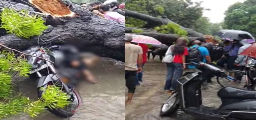 भारी बारिश की वजह से दिल्ली में बड़ा हादसा, पेड़ गिरने एक व्यक्ति की मौत; 1 घायल