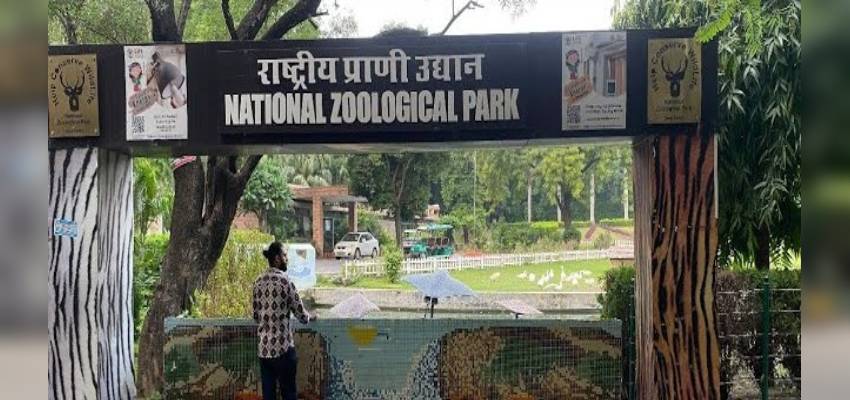 दिल्ली के चिड़ियाघर पर बर्ड फ्लू का साया, पर्यटकों की एंट्री पर लगी रोक, सैनिटाइजेशन शुरू