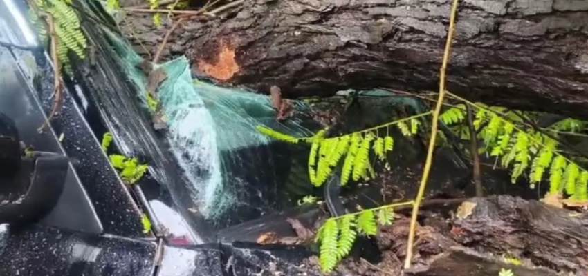 Haryana News: पंचकूला में मूसलधार बारिश के दौरान बड़ा हादसा हुआ,  स्कूल जा रही एक कार पर गिरा बड़ा पत्थर, 4 बच्चे घायल