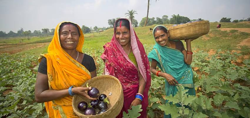 Women Farmer's Day: महिलाओं ने बदली कृषि क्षेत्र की तस्वीर, लेकिन उनके योगदान को क्यों किया जा रहा अनदेखा?
