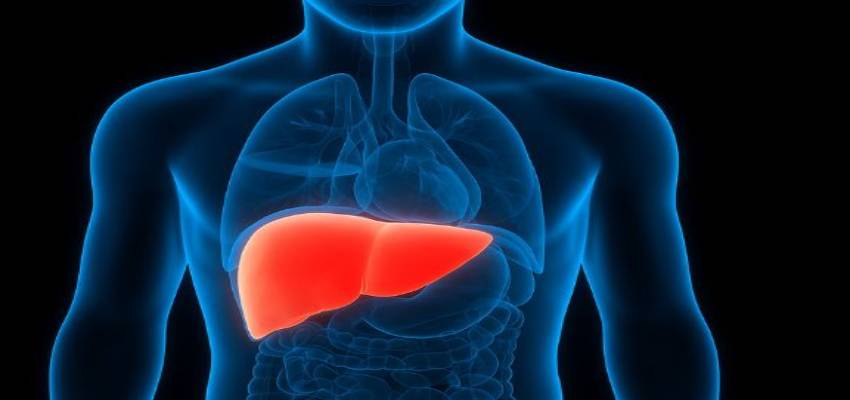 लिवर में जमा फैट अब नहीं रहेगा! जानें घर बैठे Fatty Liver का खतरा कैसे खत्म होगा