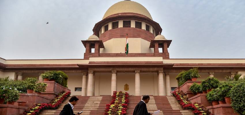 सुप्रीम कोर्ट के सख्त आदेश, आवारा कुत्तों को हटाने के लिए 8 हफ्ते का दिया समय