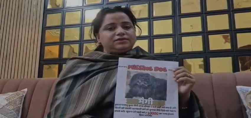 Rajasthan News: जबलपुर में ‘मैगी’ हुई लापता, ढूंढने वाले को 10 हजार का इनाम