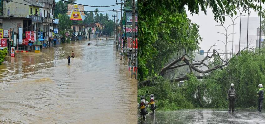 श्रीलंका के बाद भारत के इन राज्यों में तूफान दित्वा का कहर, स्कूल-फ्लाइट्स सेवाओं पर लगा ताला