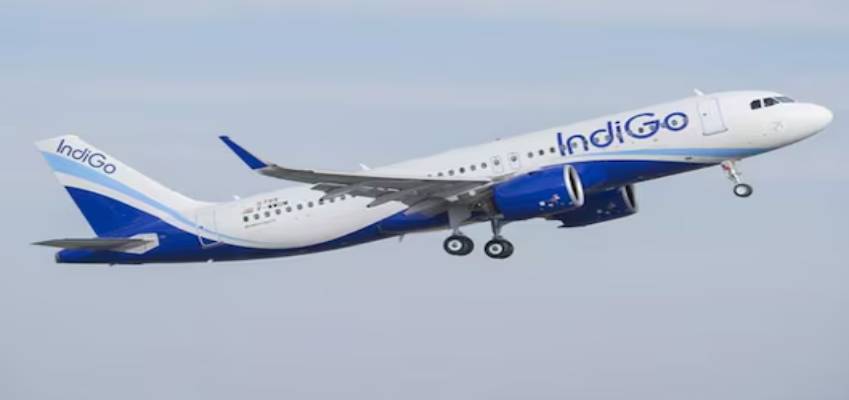 ₹18,000 की सैलरी पर 3 लोगों का काम...IndiGo के पूर्व कर्मचारी ने बताया सच, एक लेटर ने खोले कई राज