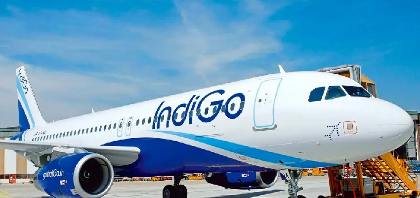 इंडिगो की 300 से ज्यादा उड़ानें आज भी रद्द, एयरपोर्ट पर निकलने से पहले चेक कर लें फ्लाइट का स्टेटस