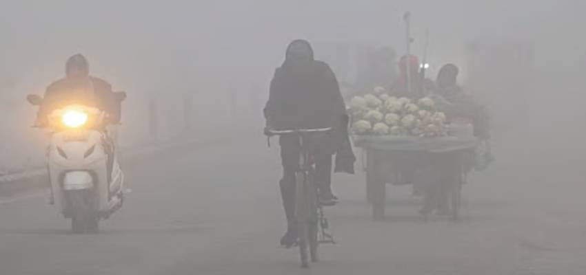 दिल्ली-NCR में घना कोहरा और प्रदूषण दोनों बरकरार, उड़ानों पर भी पड़ा असर; IMD से जानें मौसम का ताजा हाल