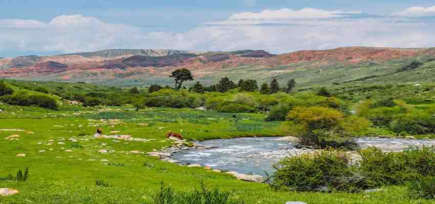 भारत छोड़ किर्गिस्तान! लाखों रुपये खर्च कर क्यों पहुंच रहे हैं भारतीय, सच्चाई जानकर चौंक जाओगे