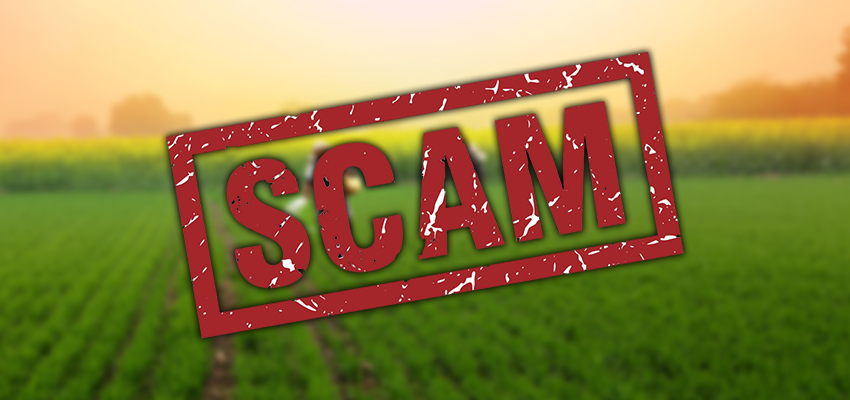 HARYANA NEWS: बीमा क्लेम घोटाले पर सरकार की बड़ी कार्यवाही, कृषि विभाग के सयुंक्त निदेशक राजीव मिश्रा निलंबित