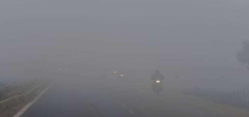 Weather Update: दिल्ली-NCR में घने कोहरे का कहर, पंजाब-हरियाणा में बारिश के आसार; Sunday को बदलेगा मौसम का मिजाज