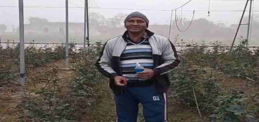 Haryana News: परंपरा तोड़ी, मिसाल गढ़ी! हरियाणा के किसान ने फूलों की खेती से लिखी सफलता की कहानी