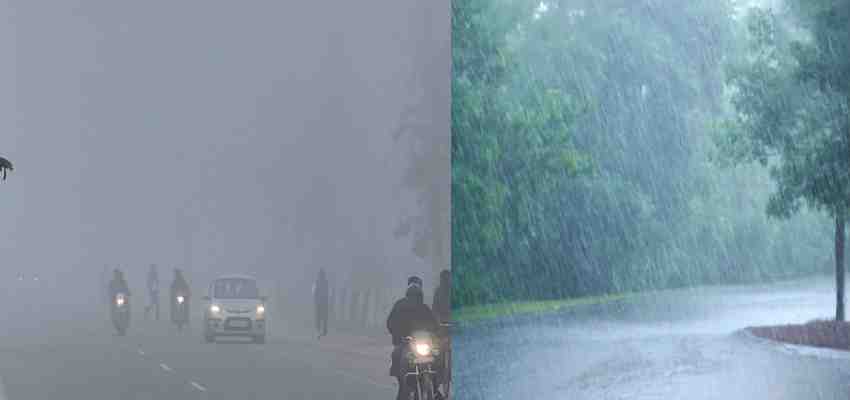 Aaj Ka Mausam: दिल्ली में घना कोहरा, हरियाणा में बारिश का अलर्ट, जानें कैसा रहेगा आपके शहर का मौसम
